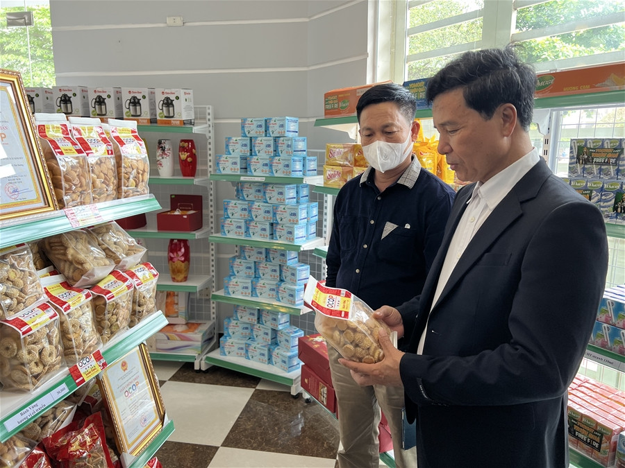 Vietnamese OCOP product introducing and selling center opens in Hai Duong city